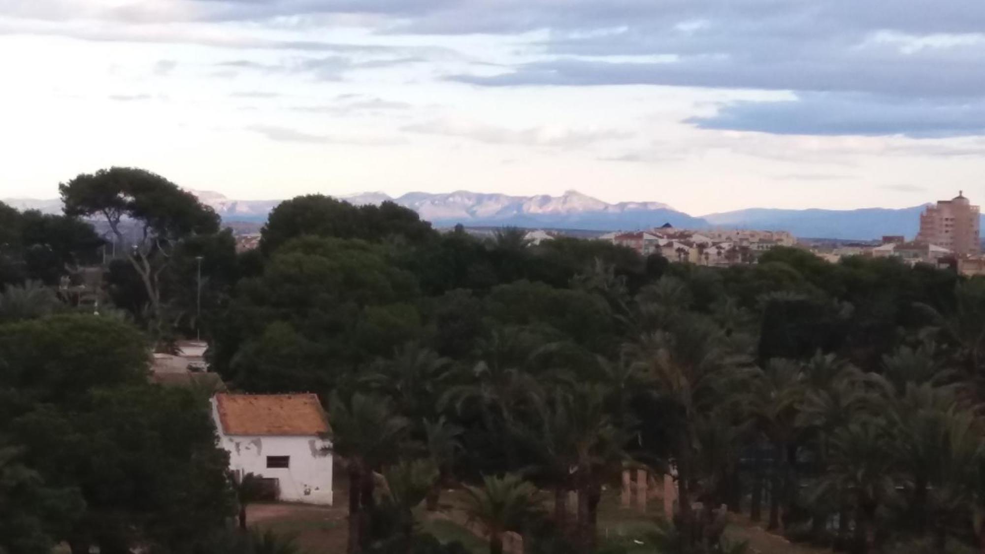 Апартаменты Punta Prima Torrevieja Fantazy01 Экстерьер фото